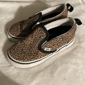 Cheetah vans